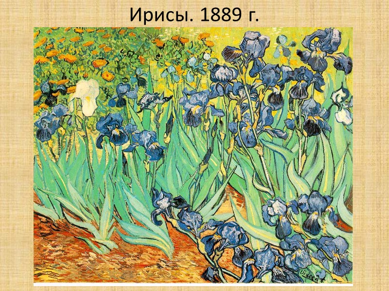 Ирисы. 1889 г.